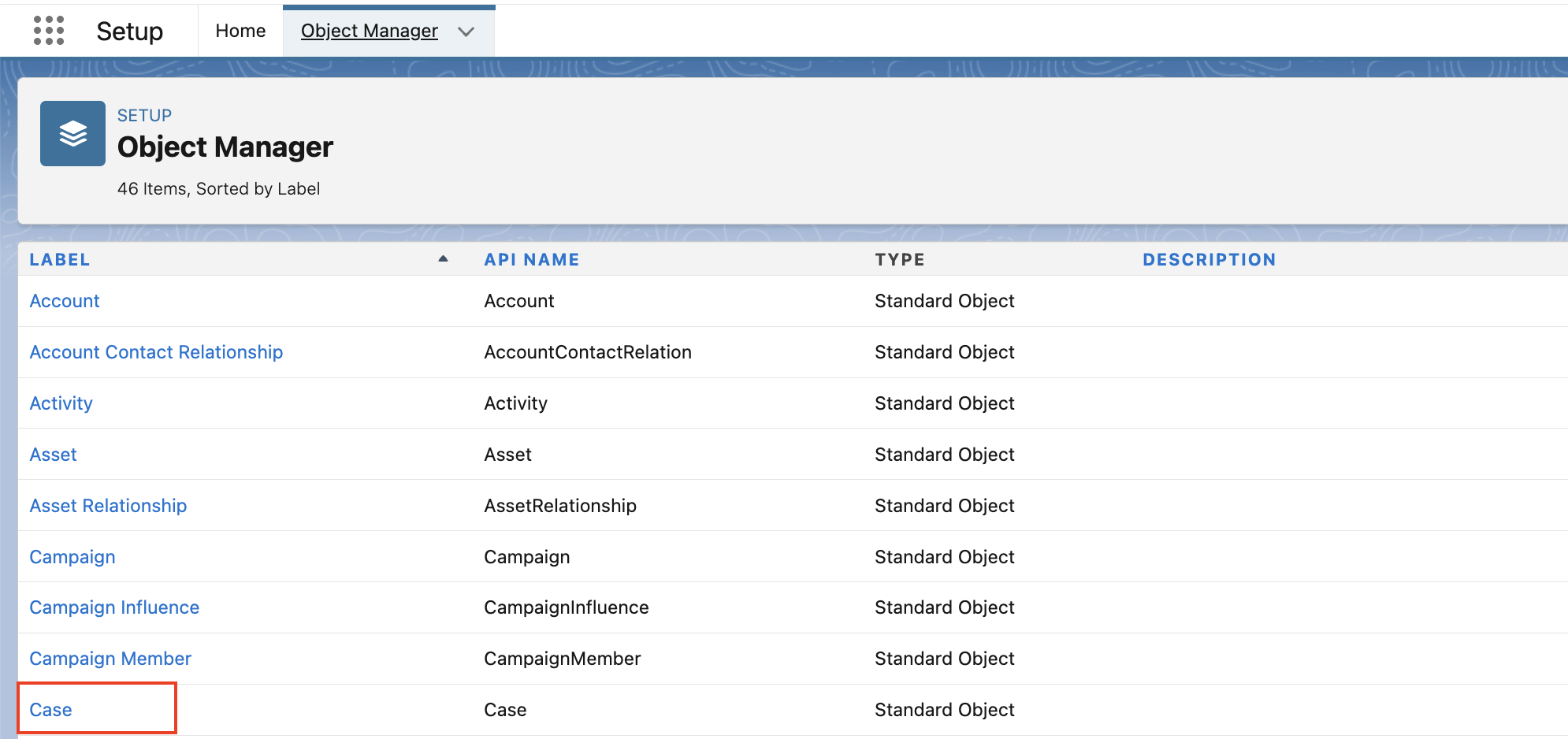 Case in object manager