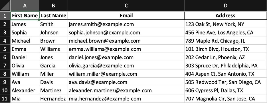 This is an image showing the mail merge Word Excel sheet