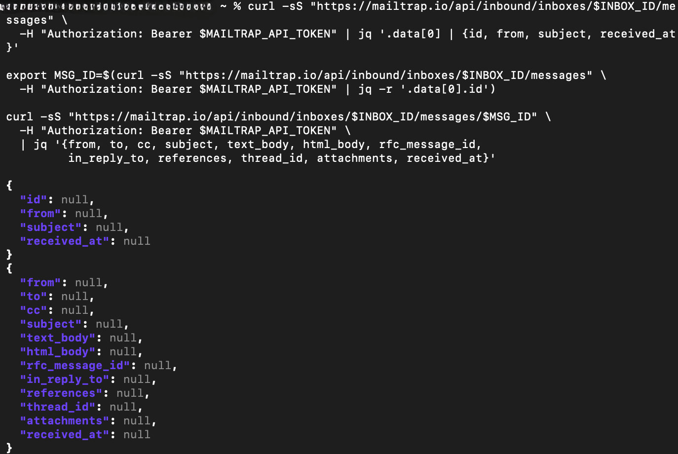 Mailrap inbound - receiving the parsed webhook with necessary fields - terminal command