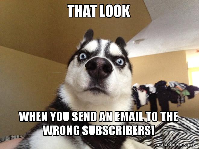 That look when you send an email to the wrong sunscribers! Astonished husky picture.