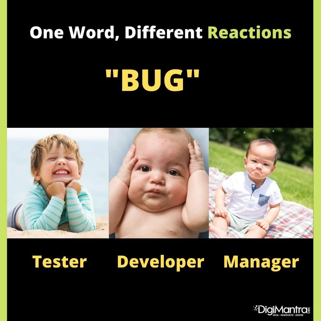 QA Testing Memes