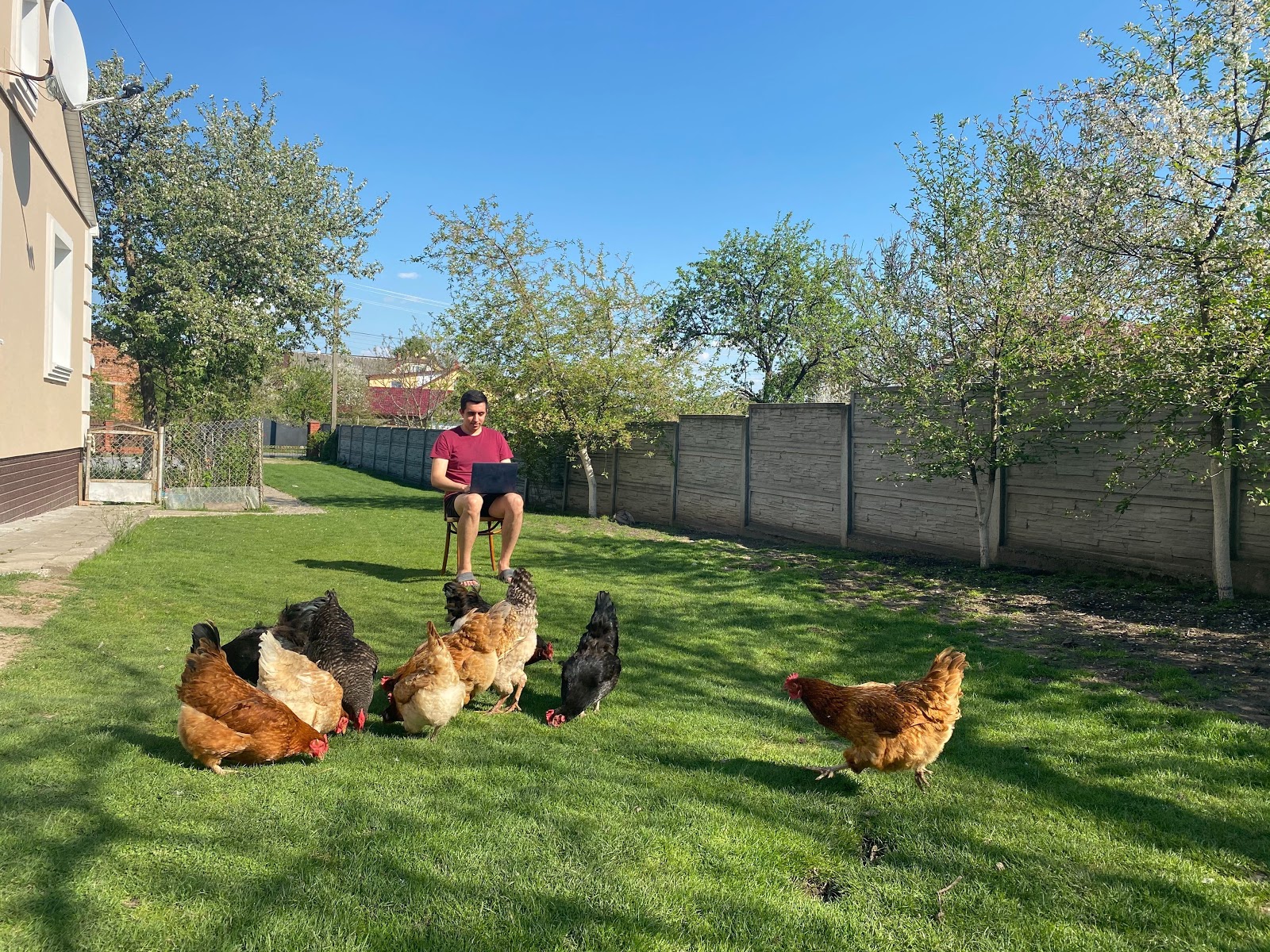 Work from Home Alternatives for Remote Developers Mailtrap Blog