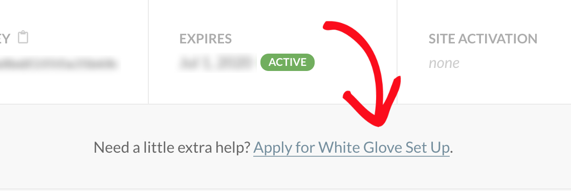 WP Mail SMTP - Apply for white glove setup