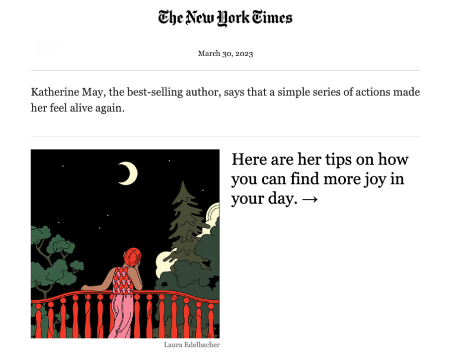 New York Times newsletter example
