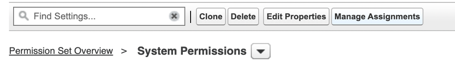 Salesforce manage system permissions