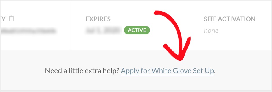 This is an image showing the WP Mail SMTP plugin white glove option